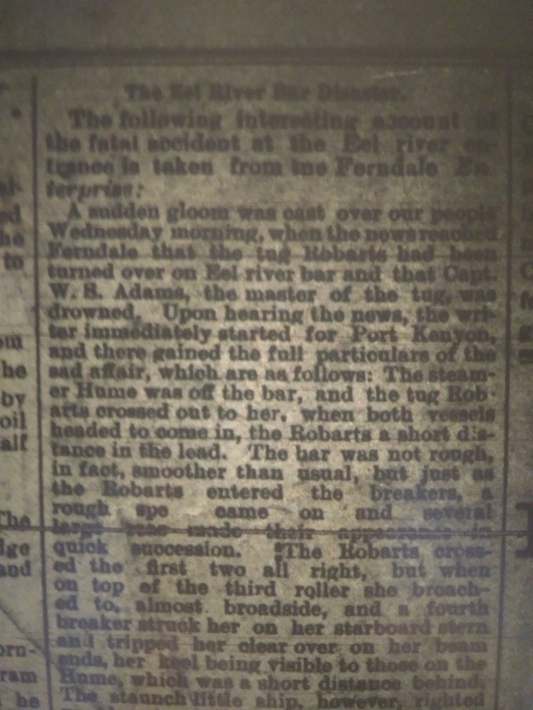 18890105AdamsDrowned1of3HDS